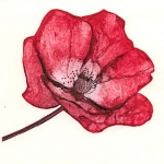Poppy (unframed image size: 12.5cmx12.5cm)